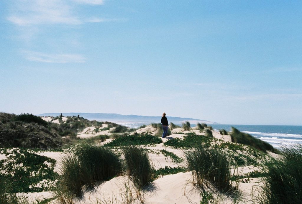 35mm film photo by Amelie Chabot