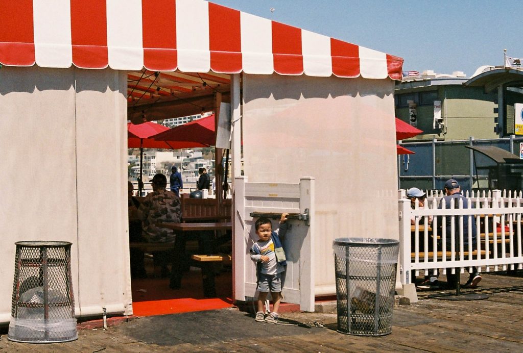 35mm film photo by Amelie Chabot