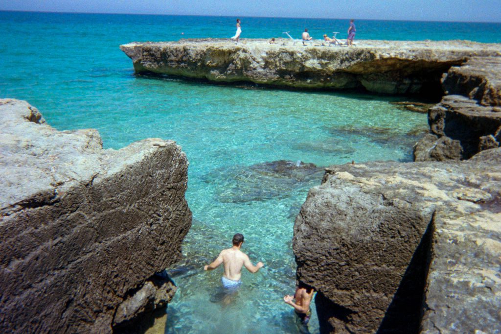 35mm film photo by Amelie Chabot