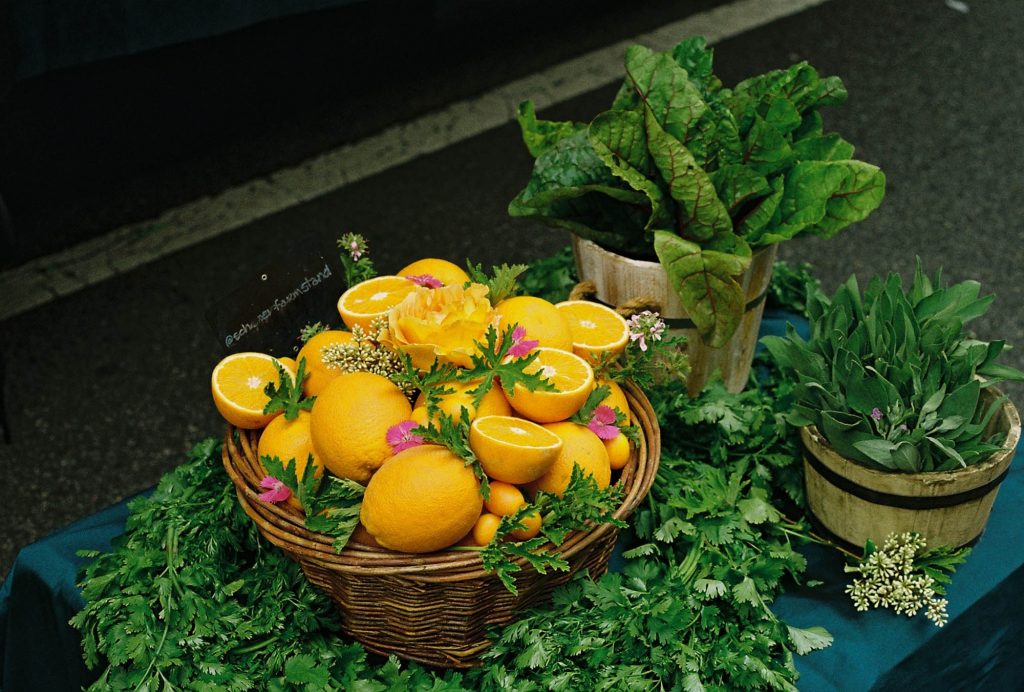 35mm film photo by Amelie Chabot