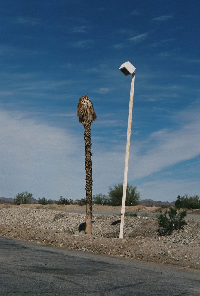 35mm film photo by Amelie Chabot