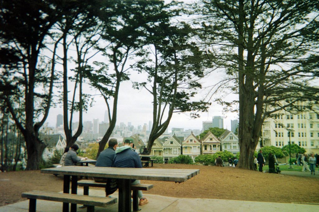 35mm film photo by Amelie Chabot