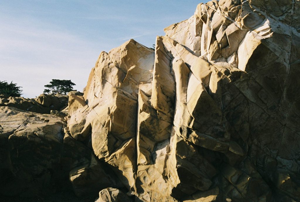 35mm film photo by Amelie Chabot